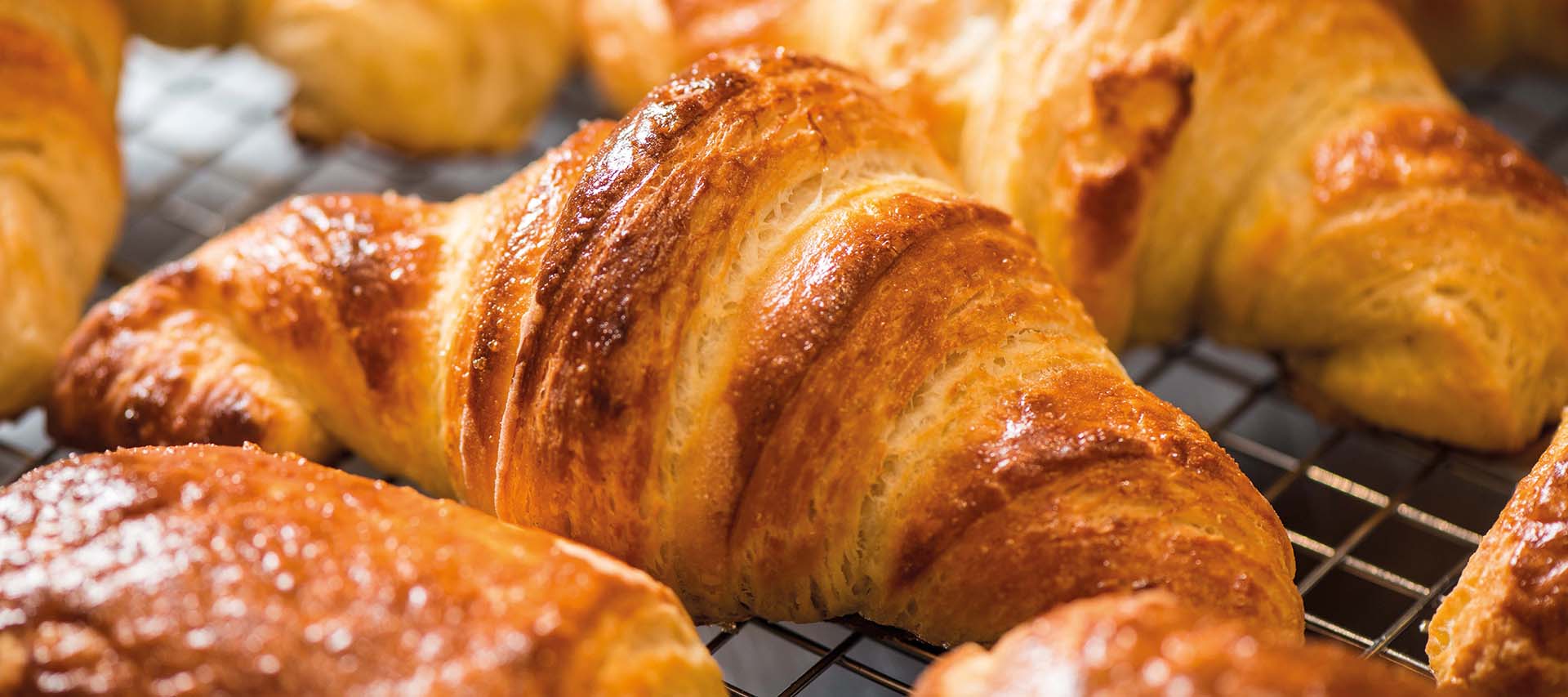 Freshly baked croissants cooling on a rack, prepared in a facility equipped with commercial laundry equipment, including commercial tumble dryers and automatic ironing machines.