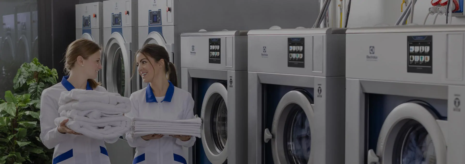 Laundry staff carrying towels in front of commercial washer and dryer